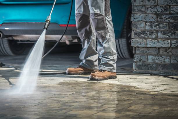 Best Driveway Pressure Washing  in Braidwood, IL