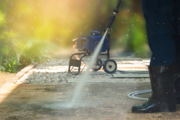 Best Roof Washing  in Braidwood, IL